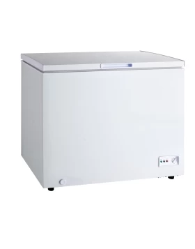 Chest Freezer ES370