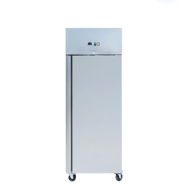 Θάλαμος Συντήρησης Inox Μονός PA800TN