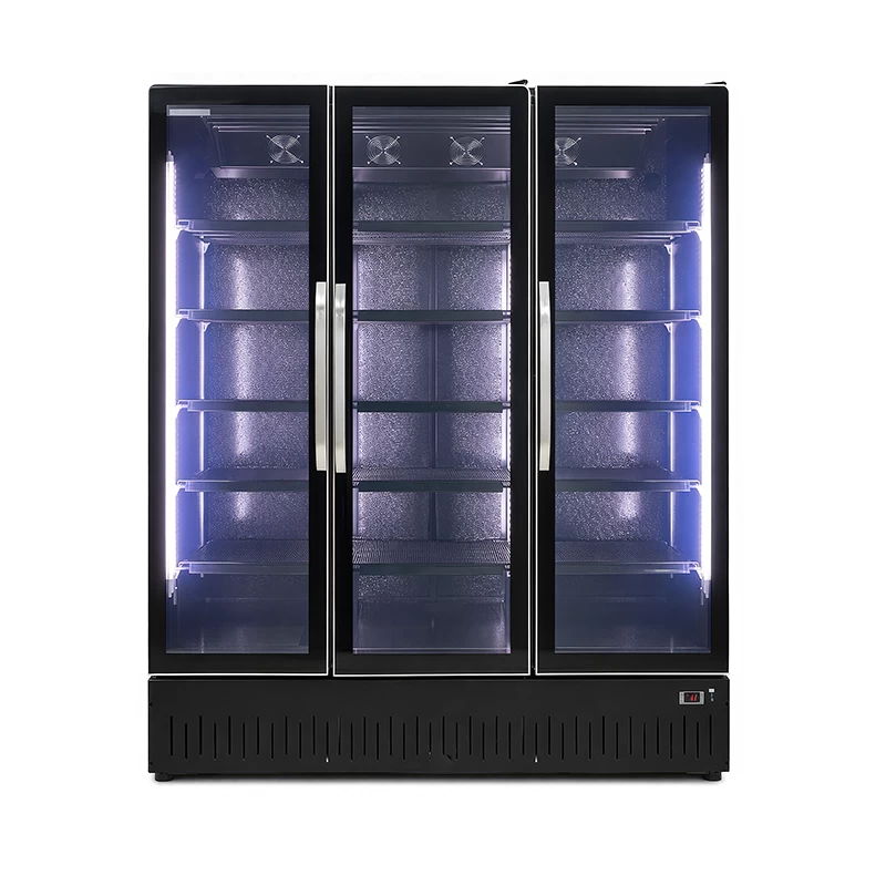 Βιτρίνα Συντήρησης DBC1676HF