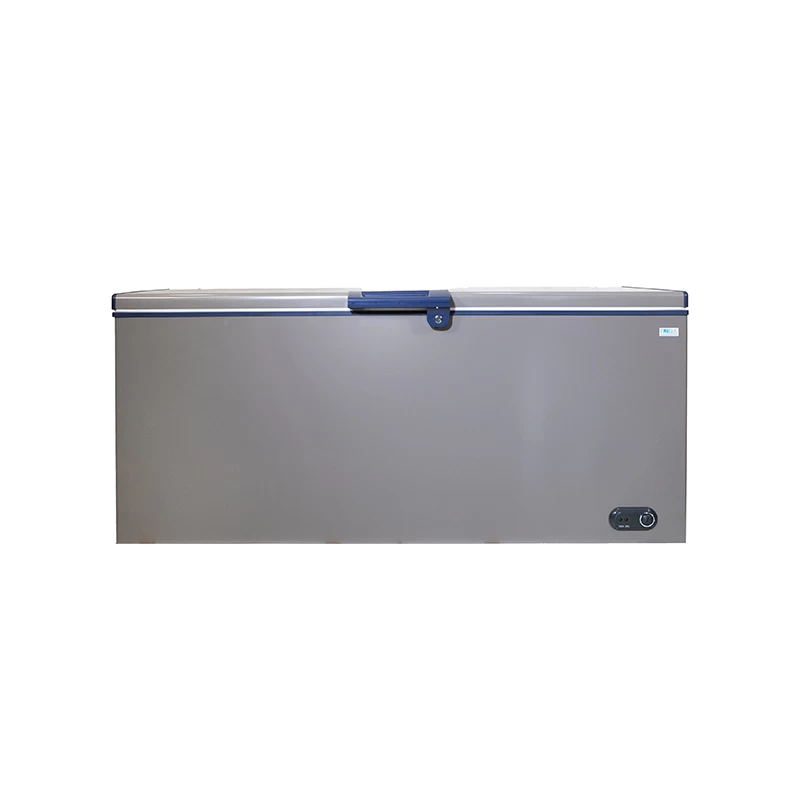 Καταψύκτης Μπαούλο ES491 LUX