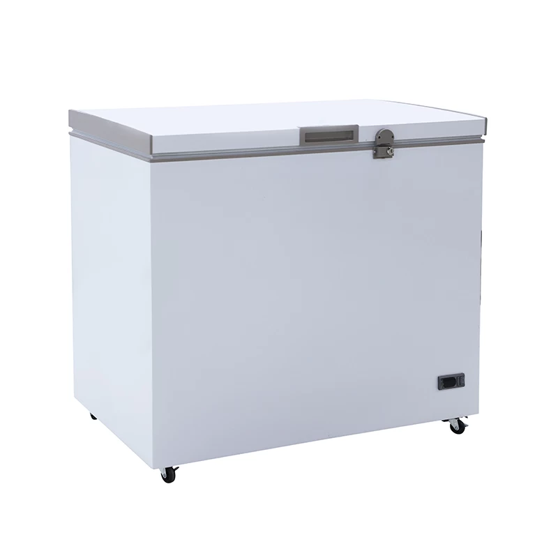 Chest freezer for beer BFC300