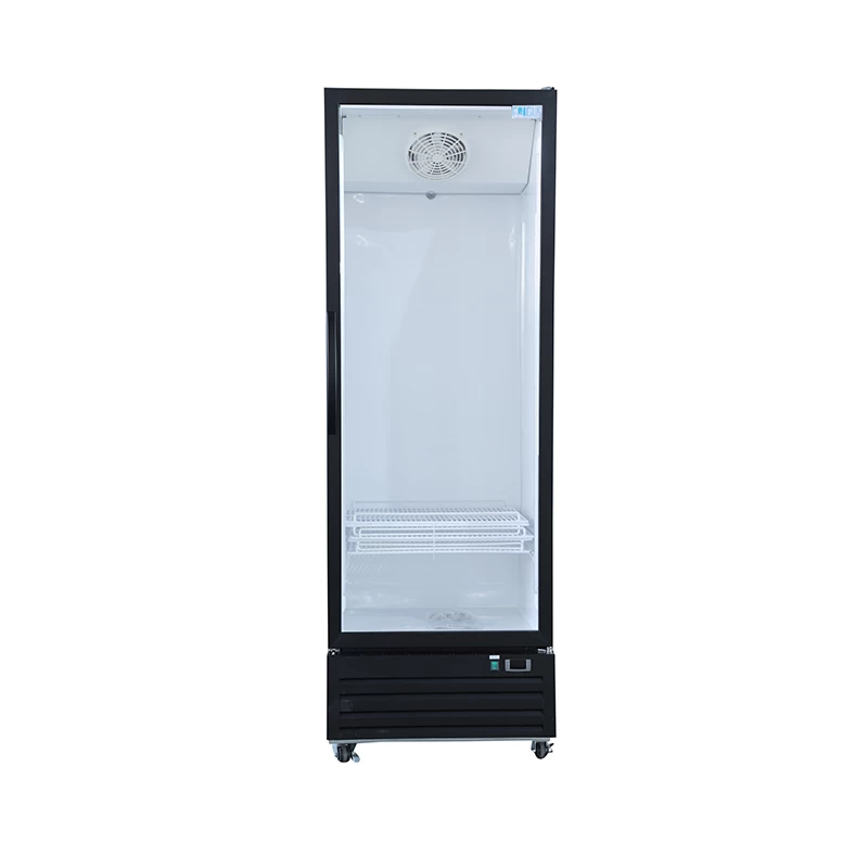 Display refrigerator DBC600BL