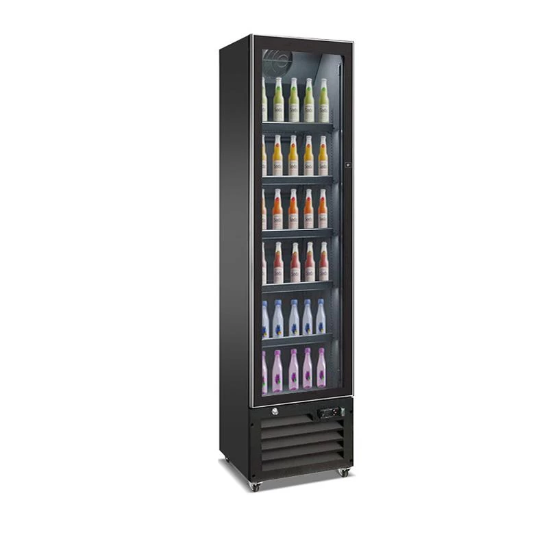 Freezer Display SLIM250NG